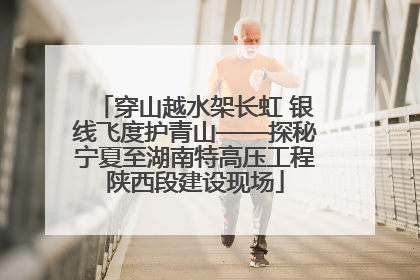 穿山越水架长虹 银线飞度护青山——探秘宁夏至湖南特高压工程陕西段建设现场