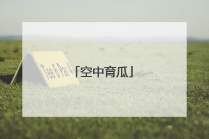 空中育瓜