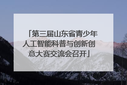 第三届山东省青少年人工智能科普与创新创意大赛交流会召开
