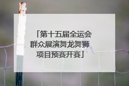 第十五届全运会群众展演舞龙舞狮项目预赛开赛
