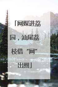 网媒进荔园，汕尾荔枝借“网”出圈