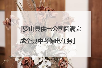 罗山县供电公司圆满完成全县中考保电任务
