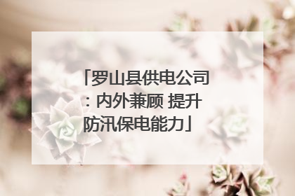 罗山县供电公司：内外兼顾 提升防汛保电能力