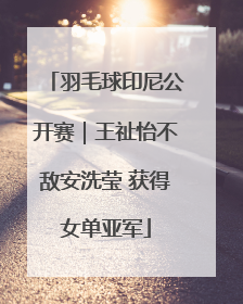 羽毛球印尼公开赛｜王祉怡不敌安洗莹 获得女单亚军