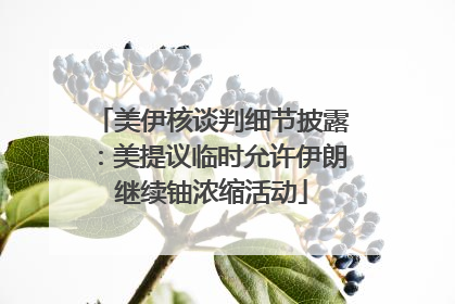 美伊核谈判细节披露：美提议临时允许伊朗继续铀浓缩活动