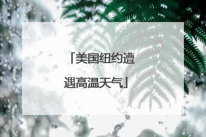 美国纽约遭遇高温天气