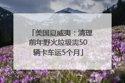美国夏威夷：清理前年野火垃圾需50辆卡车运5个月