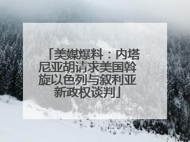 美媒爆料：内塔尼亚胡请求美国斡旋以色列与叙利亚新政权谈判