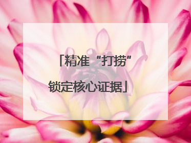 精准“打捞”锁定核心证据