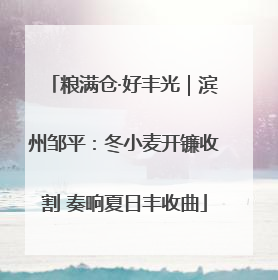 粮满仓·好丰光｜滨州邹平：冬小麦开镰收割 奏响夏日丰收曲