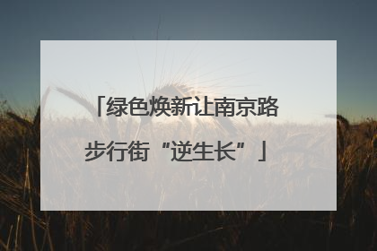 绿色焕新让南京路步行街“逆生长”