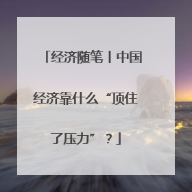 经济随笔丨中国经济靠什么“顶住了压力”？