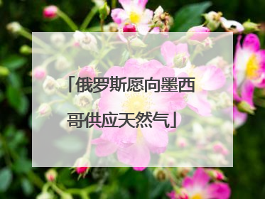 俄罗斯愿向墨西哥供应天然气