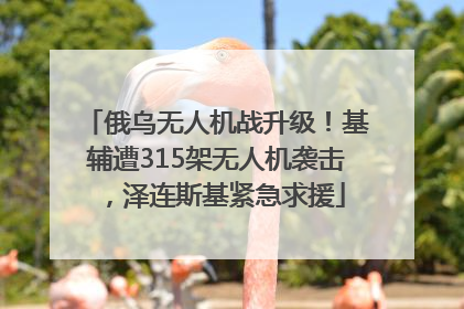 俄乌无人机战升级！基辅遭315架无人机袭击，泽连斯基紧急求援