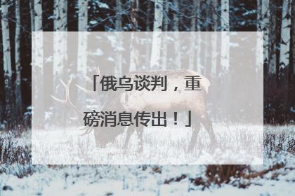 俄乌谈判，重磅消息传出！