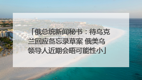 俄总统新闻秘书：待乌克兰回应备忘录草案 俄美乌领导人近期会晤可能性小