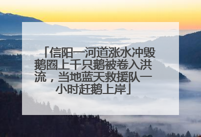 信阳一河道涨水冲毁鹅圈上千只鹅被卷入洪流，当地蓝天救援队一小时赶鹅上岸