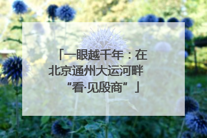 一眼越千年：在北京通州大运河畔“看·见殷商”