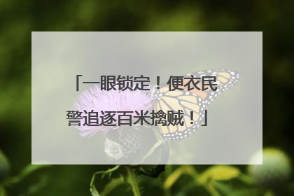一眼锁定！便衣民警追逐百米擒贼！