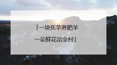 一块蕉芋养肥羊 一朵鲜花富全村