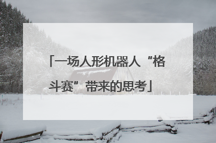 一场人形机器人“格斗赛”带来的思考