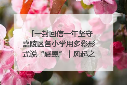 一封回信一年坚守 嘉陵区各小学用多彩形式说“感恩”｜风起之江 扶摇直上