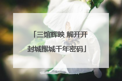 三馆辉映 解开开封城摞城千年密码
