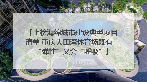 上榜海绵城市建设典型项目清单 重庆大田湾体育场既有“弹性”又会“呼吸”