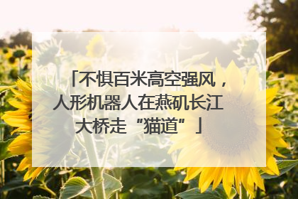 不惧百米高空强风，人形机器人在燕矶长江大桥走“猫道”