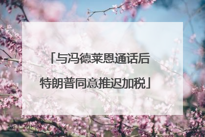 与冯德莱恩通话后 特朗普同意推迟加税