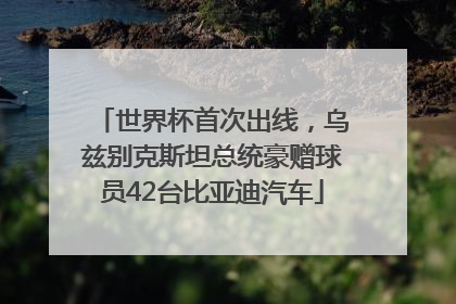 世界杯首次出线，乌兹别克斯坦总统豪赠球员42台比亚迪汽车