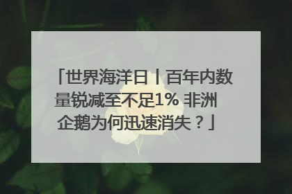 世界海洋日丨百年内数量锐减至不足1% 非洲企鹅为何迅速消失？