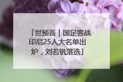 世预赛｜国足客战印尼25人大名单出炉，刘若钒落选