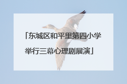 东城区和平里第四小学举行三幕心理剧展演