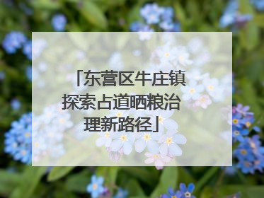 东营区牛庄镇探索占道晒粮治理新路径