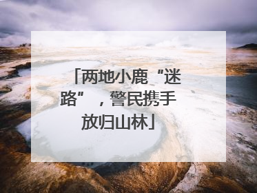 两地小鹿“迷路”，警民携手放归山林