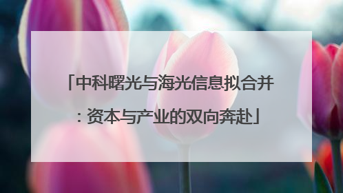 中科曙光与海光信息拟合并：资本与产业的双向奔赴