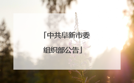 中共阜新市委组织部公告