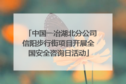 中国一冶湖北分公司信阳步行街项目开展全国安全咨询日活动