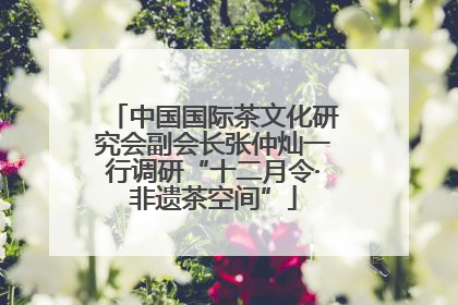 中国国际茶文化研究会副会长张仲灿一行调研“十二月令·非遗茶空间”