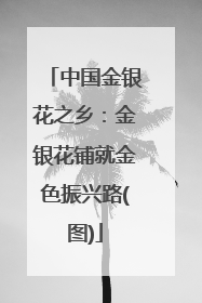 中国金银花之乡：金银花铺就金色振兴路(图)
