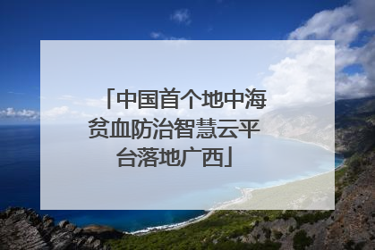 中国首个地中海贫血防治智慧云平台落地广西