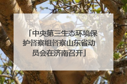 中央第三生态环境保护督察组督察山东省动员会在济南召开