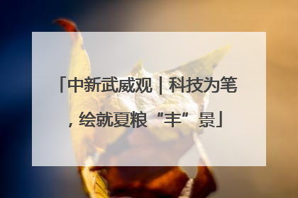 中新武威观｜科技为笔，绘就夏粮“丰”景