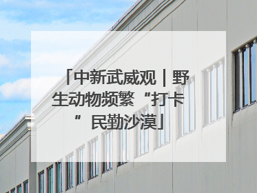 中新武威观｜野生动物频繁“打卡”民勤沙漠