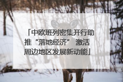 中欧班列密集开行助推“落地经济” 激活周边地区发展新动能