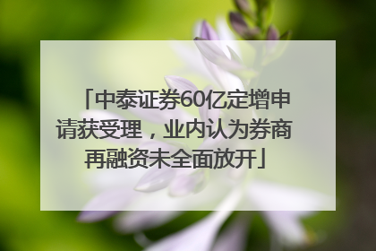 中泰证券60亿定增申请获受理，业内认为券商再融资未全面放开