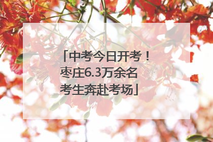 中考今日开考！枣庄6.3万余名考生奔赴考场