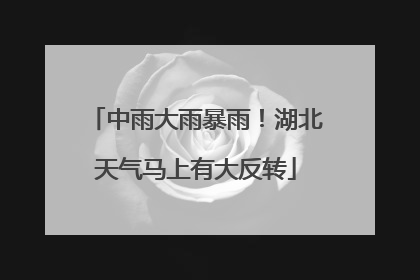 中雨大雨暴雨！湖北天气马上有大反转