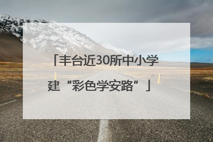 丰台近30所中小学建“彩色学安路”